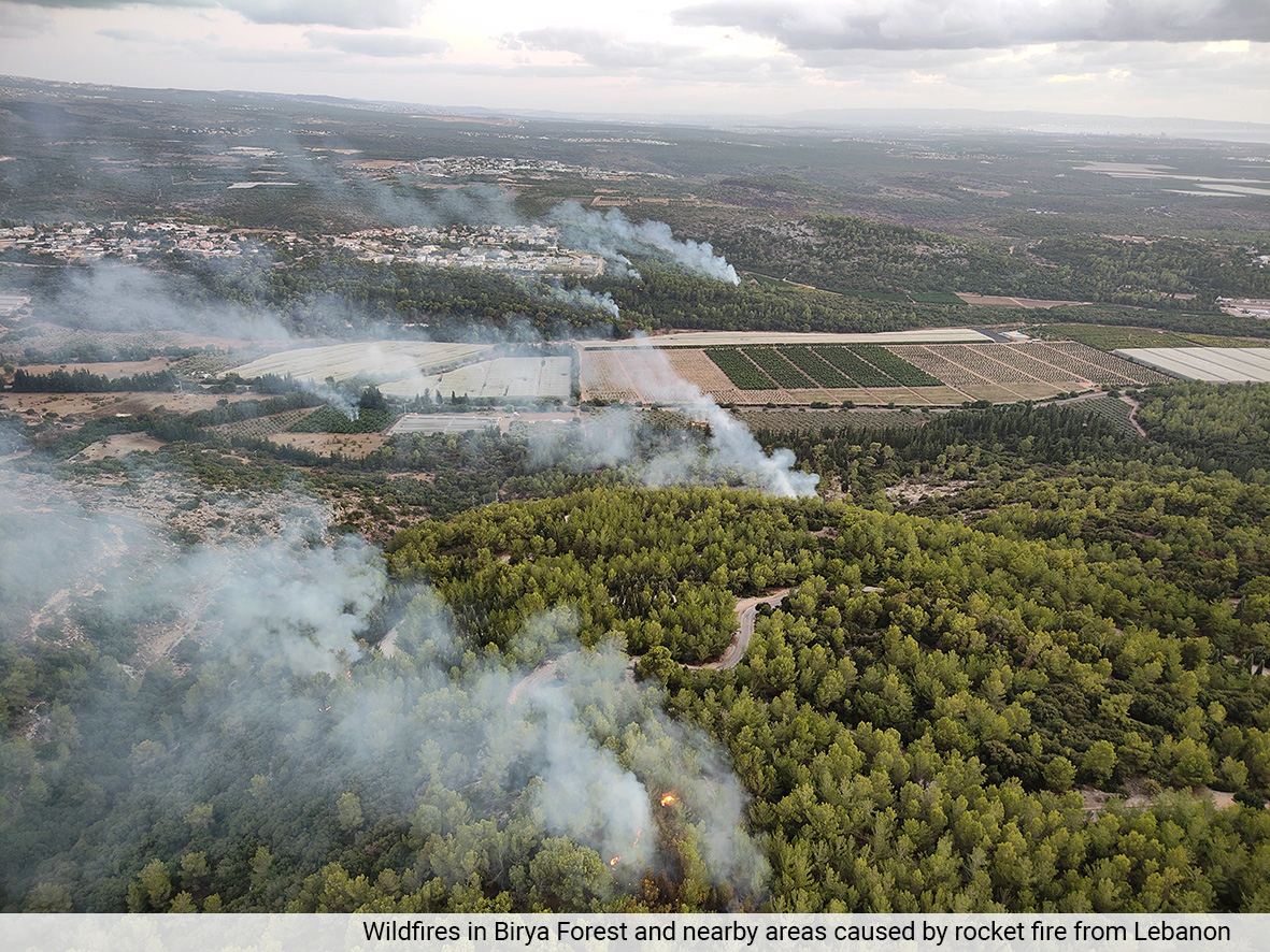 KKL-JNF-led forest restoration efforts in the Galilee and Western Negev following war-related wildfire damage